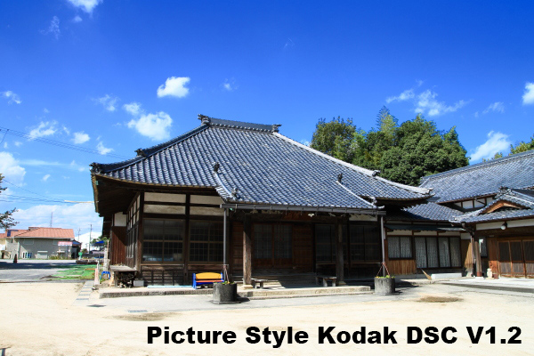 Canon Eos 1100d Eos Rebel T3 Eos Kiss X50 Picture Style Kodak Digital Camera Color Kinys Wood Shop